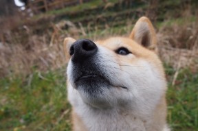 乐鱼体育直播在线-奥预赛国家队惨败 球迷反思防守漏洞，2020奥预赛分组