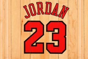 乐鱼体育app官网-瑞典队未来发展计划：发力乒乓青训，注重核心球员培养，瑞典乒乓球老将名单