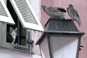 乐鱼体育官网-中国女篮提升三分球命中率，中国女篮提升三分球命中率的措施