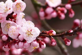 乐鱼体育平台-国家队心理建设与比赛压力关系，国家队心理建设与比赛压力关系大吗