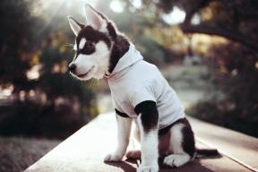 乐鱼体育app官网入口-中国队冲击世界杯预选赛 精彩表现备受称赞，中国队世界杯预选赛2022