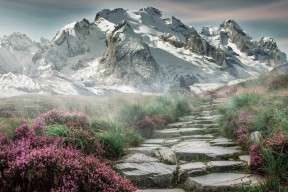 乐鱼体育app官网入口-新加坡队赛制研究：团体赛中的战术运用与角色分配，新加坡联赛