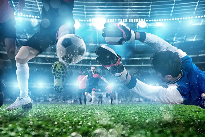 乐鱼体育·leyu APP下载 -官方网站入口