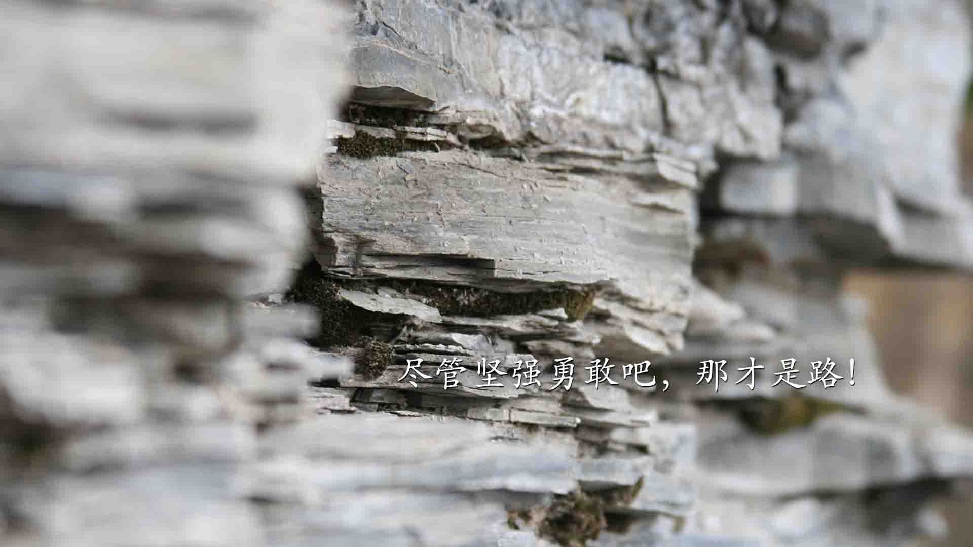 意甲裁判VAR语言提示系统减少多语境误解率