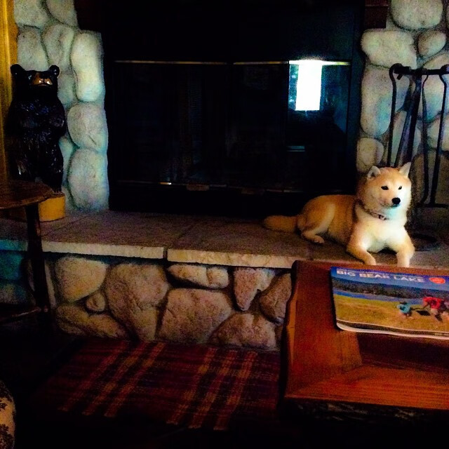 CBA球队强化教练团队配备，cba教练兼球员