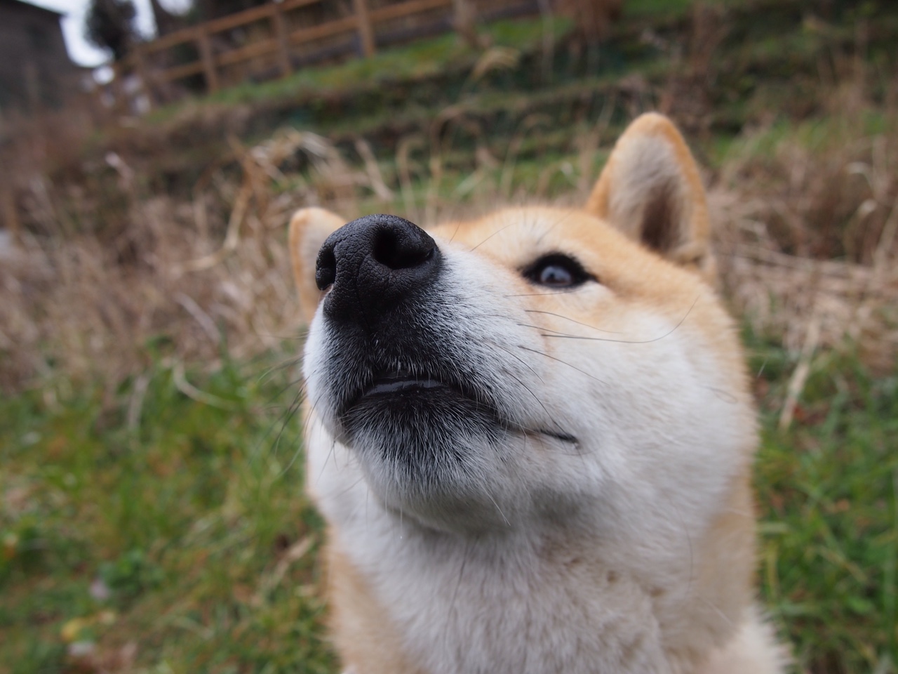 中国三人女篮多点开花 战术执行力出众，中国3人女篮