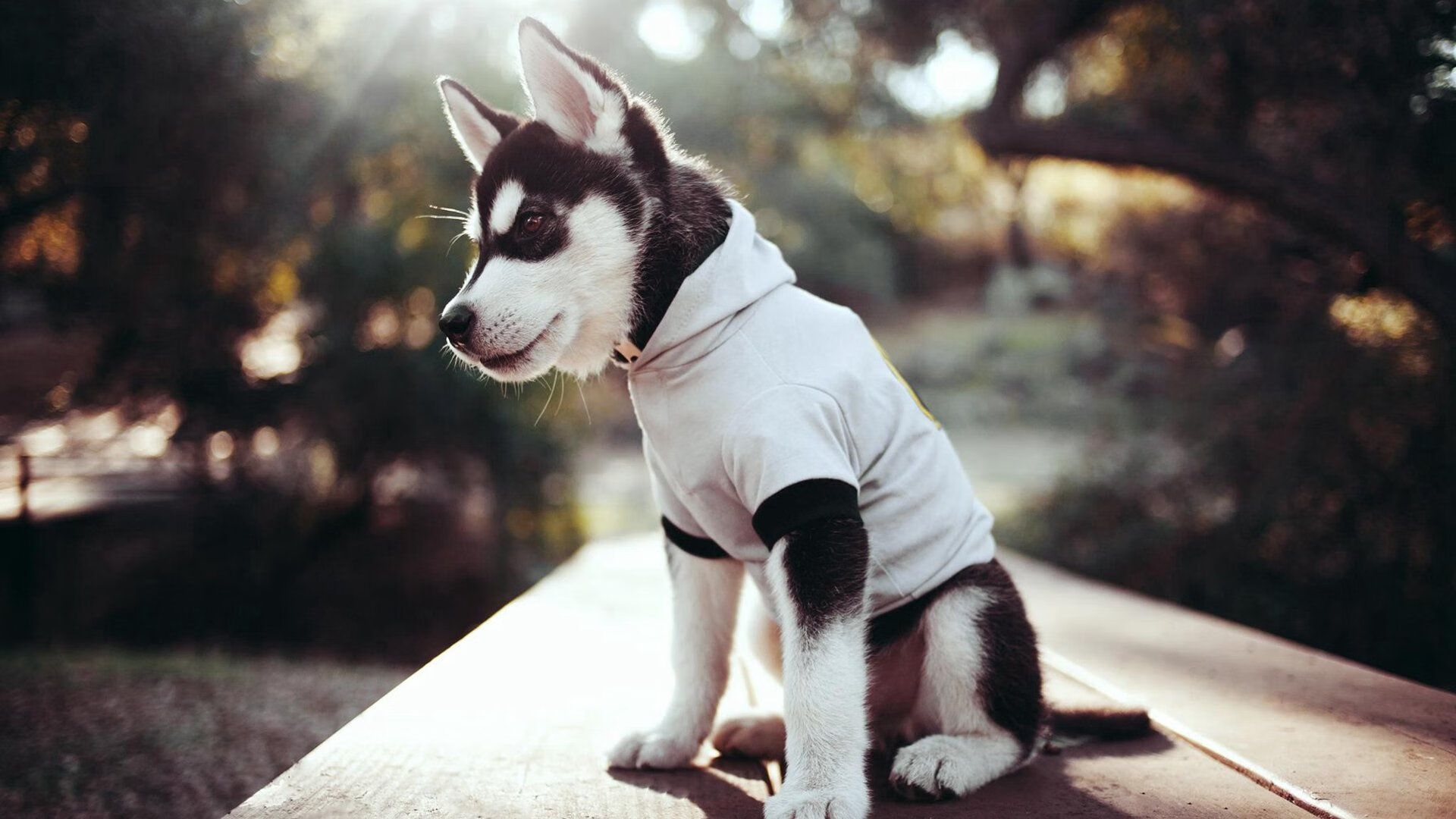 中国队冲击世界杯预选赛 精彩表现备受称赞，中国队世界杯预选赛2022