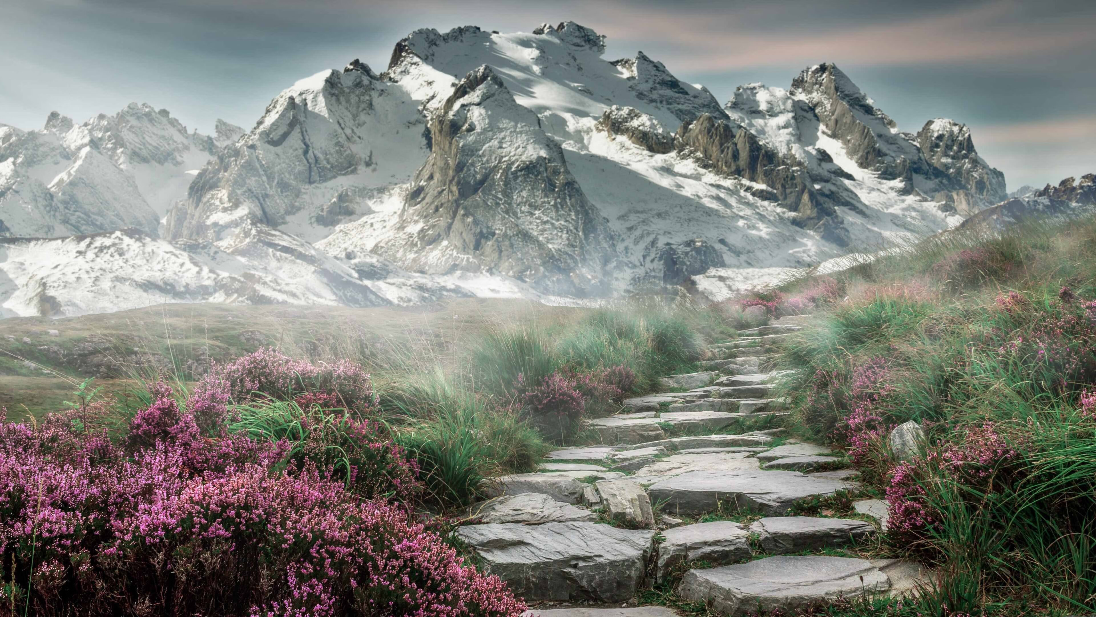 新加坡队赛制研究：团体赛中的战术运用与角色分配，新加坡联赛