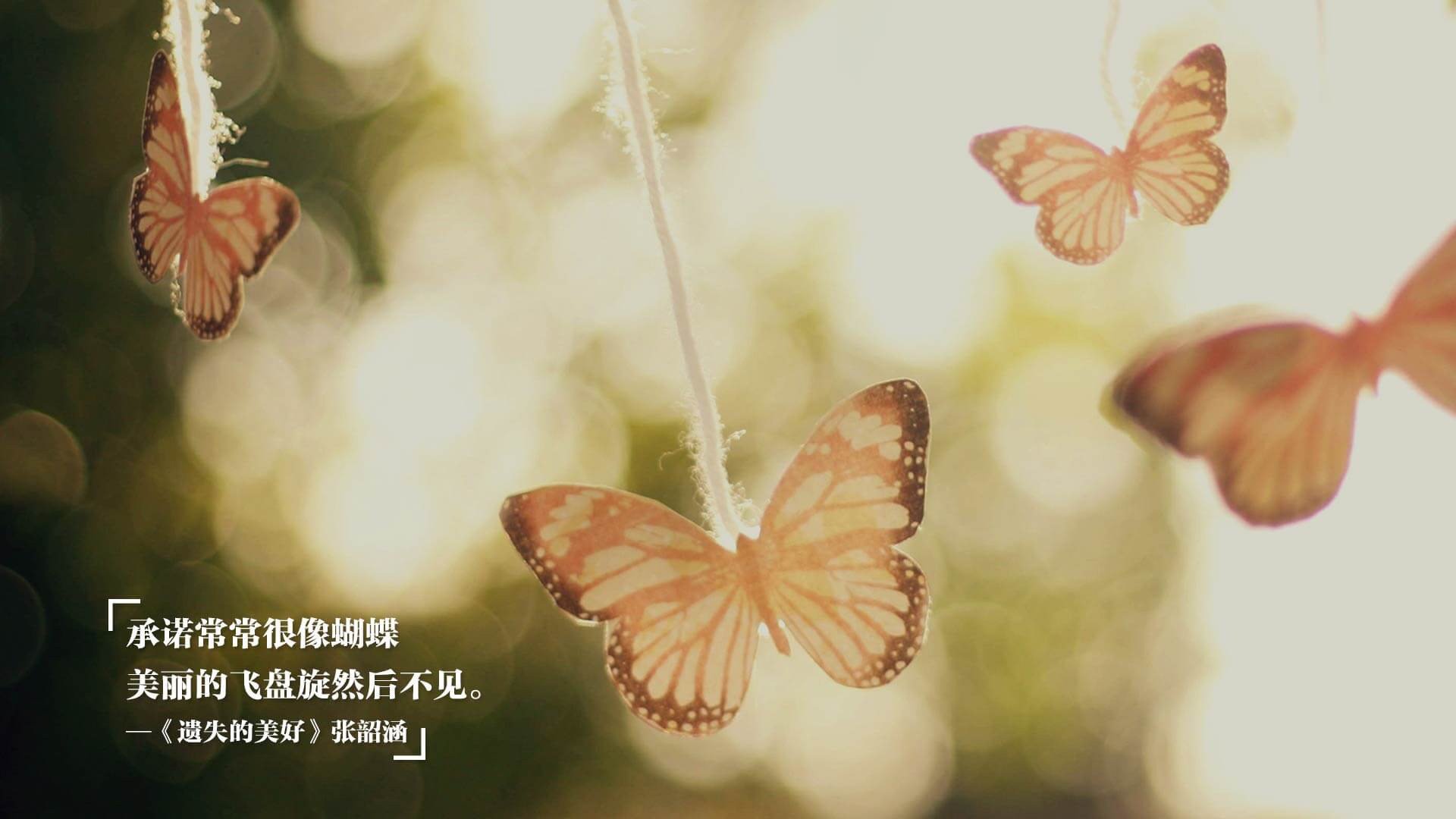 新加坡队赛制研究：团体赛中的战术运用与角色分配，新加坡联赛