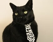 本土教练国际交流机会严重不足,本土教练国际交流机会严重不足的原因