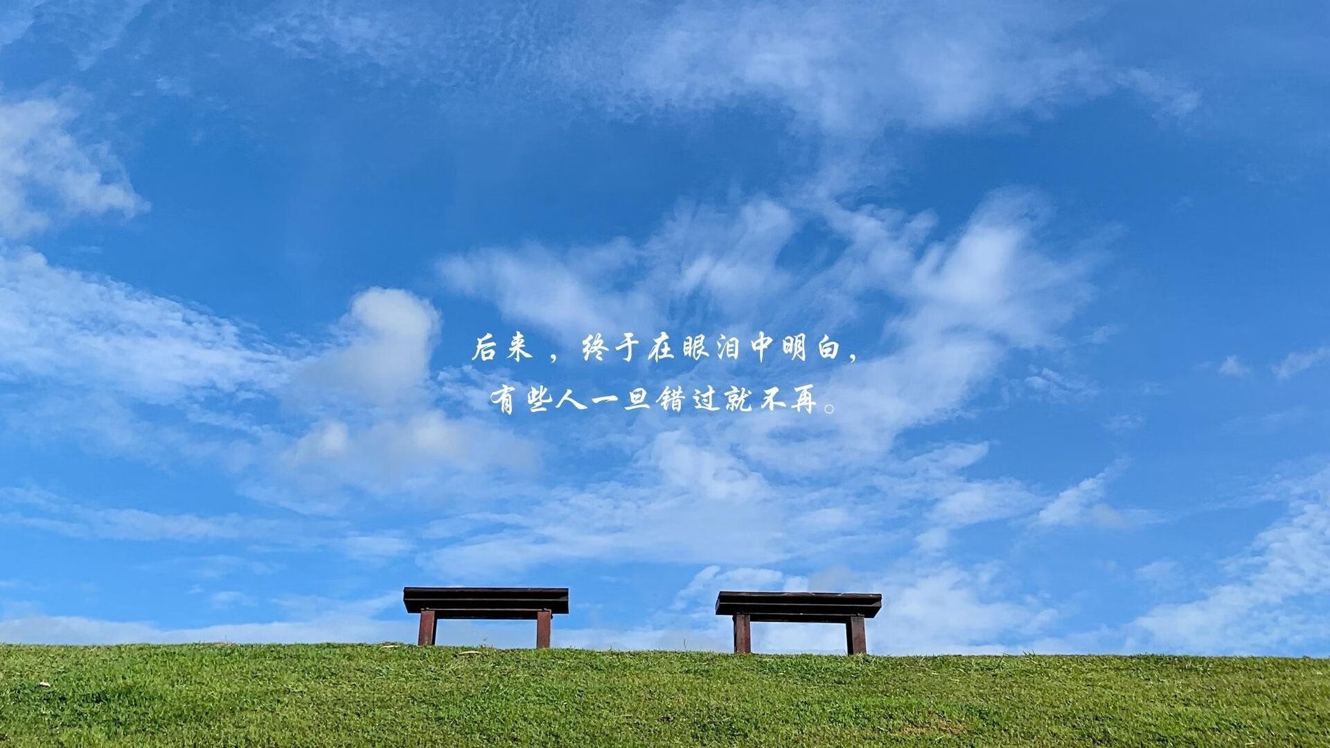 蛙泳强项韩国女队杀入决赛,蛙泳比赛女子